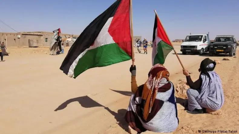 الصحراء الغربية : وجود الجزائر في مجلس الأمن سيكون له صداه