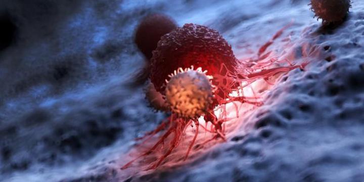 تدابير وقائية تقلل من خطر تطور الأورام تدابير وقائية تقلل من خطر تطور الأورام