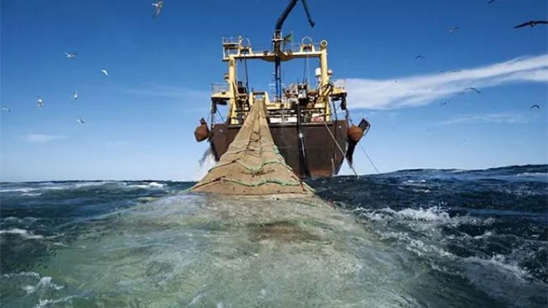 أي نشاط في المياه الإقليمية الصحراوية دون موافقة الصحراويين هو خرق للقوانين أي نشاط في المياه الإقليمية الصحراوية دون موافقة الصحراويين هو خرق للقوانين