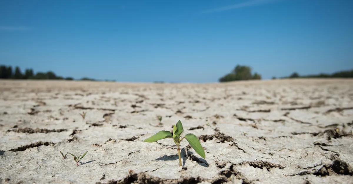 لماذا تضاعف عدد الدعاوى القضائية الخاصة بالتغير المناخي حول العالم؟ لماذا تضاعف عدد الدعاوى القضائية الخاصة بالتغير المناخي حول العالم؟