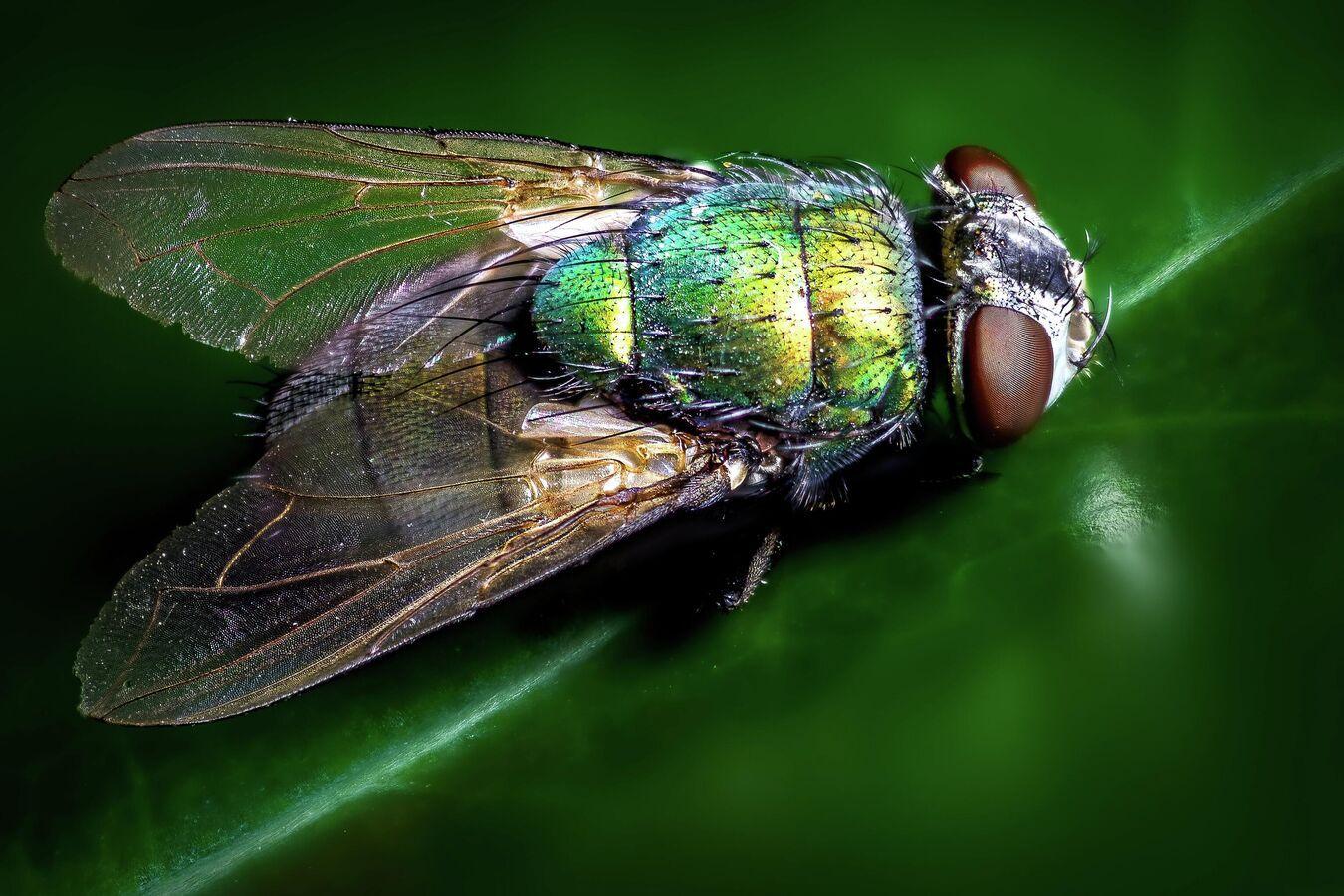 اكتشاف خاصية علاجية اكتشاف خاصية علاجية