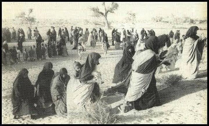 31 أكتوبر 1975 : عنوان الغدر والخيانة تجاه الشعب الصحراوي ، ذكرى أليمة ومطالبة بإنهاء الاستعمار من أخر مستعمرة في افريقيا 31 أكتوبر 1975 : عنوان الغدر والخيانة تجاه الشعب الصحراوي ، ذكرى أليمة ومطالبة بإنهاء الاستعمار من أخر مستعمرة في افريقيا