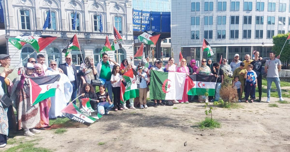 الجالية الصحراوية ببلجيكا تنظم تظاهرة أمام مقر البرلمان الأوروبي بمناسبة حلول ذكرى تأسيس الجبهة الشعبية الجالية الصحراوية ببلجيكا تنظم تظاهرة أمام مقر البرلمان الأوروبي بمناسبة حلول ذكرى تأسيس الجبهة الشعبية