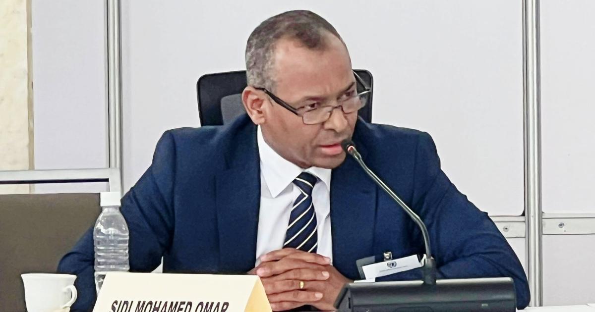 ممثل الجبهة بالأمم المتحدة: السياسة التوسعية المغربية هي من يعوق إنهاء الاستعمار في الصحراء الغربية ويهدد السلم والأمن في المنطقة وخارجها ممثل الجبهة بالأمم المتحدة: السياسة التوسعية المغربية هي من يعوق إنهاء الاستعمار في الصحراء الغربية ويهدد السلم والأمن في المنطقة وخارجها