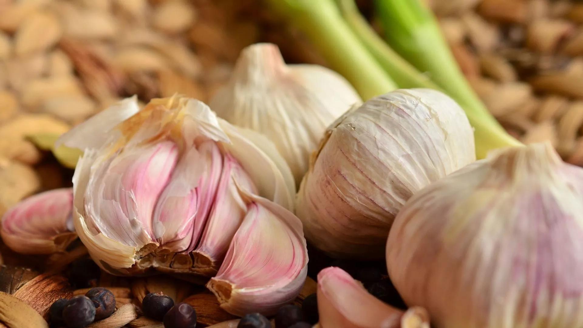 الثومية اللبنانية تتصدر تصنيفا عالميا لأفضل الصلصات الثومية اللبنانية تتصدر تصنيفا عالميا لأفضل الصلصات