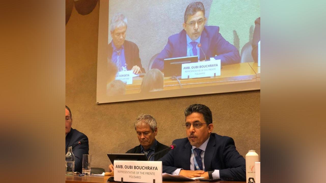 ممثل البوليساريو بأيرلندا: القضية الصحراوية تستدعي الدعم من كل الشعوب والمنظمات المدافعة عن حقوق الإنسان ممثل البوليساريو بأيرلندا: القضية الصحراوية تستدعي الدعم من كل الشعوب والمنظمات المدافعة عن حقوق الإنسان