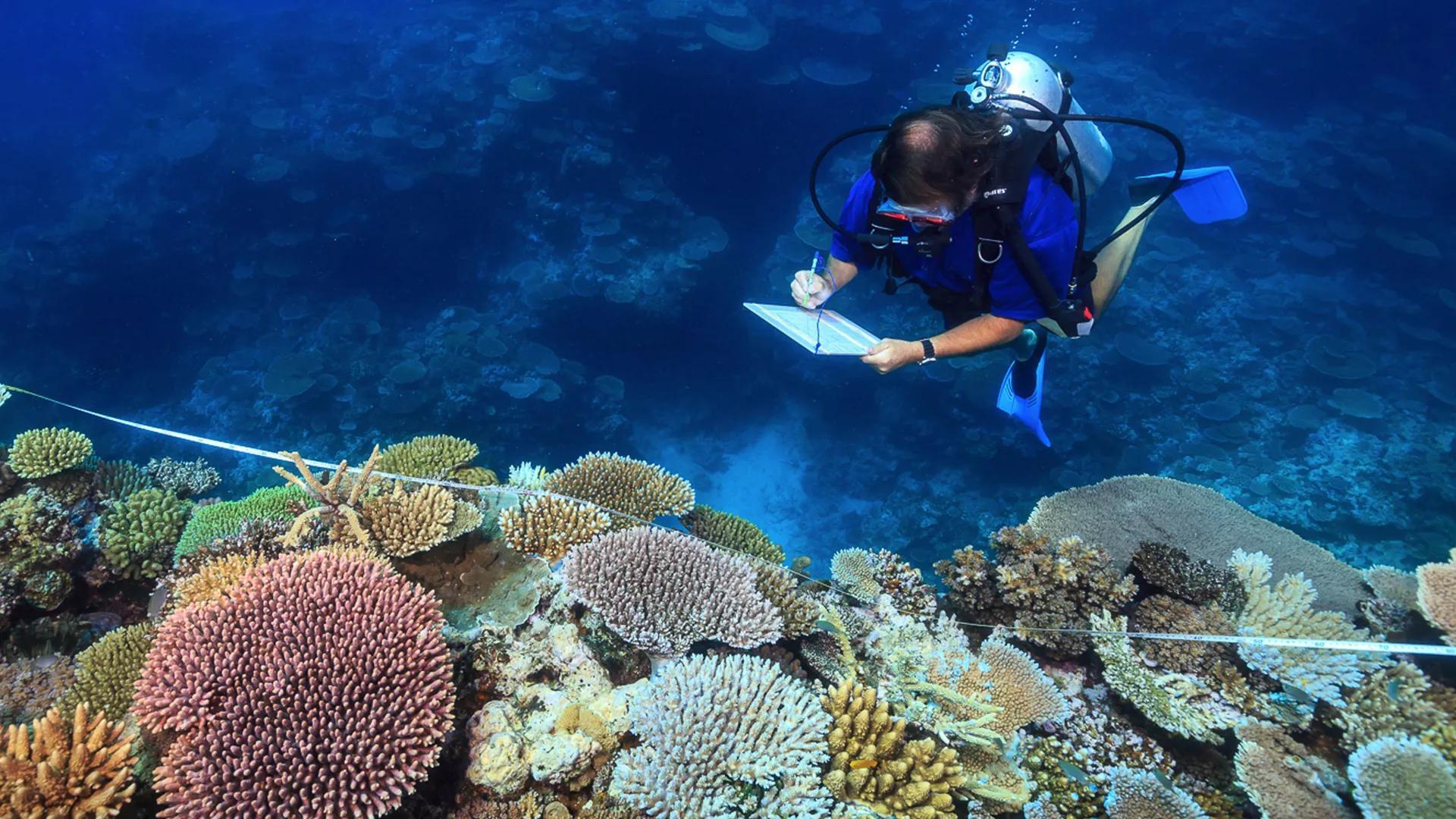 دراسة جديدة تكشف مفاجأة بشأن دراسة جديدة تكشف مفاجأة بشأن