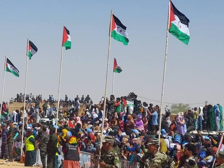 الناشطة السويدية في مجال المناخ تشيد بصمود الشعب الصحراوي ، وتدين تقاعس المجتمع الدولس عن الوفاء بالتزاماته الناشطة السويدية في مجال المناخ تشيد بصمود الشعب الصحراوي ، وتدين تقاعس المجتمع الدولس عن الوفاء بالتزاماته