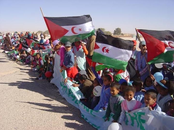 الناشطة المناخية الشهيرة غريتا تونبرغ تدعو إلى التضامن الدولي مع الشعب الصحراوي في منشور مؤثر على منصة إنستغرام الناشطة المناخية الشهيرة غريتا تونبرغ تدعو إلى التضامن الدولي مع الشعب الصحراوي في منشور مؤثر على منصة إنستغرام