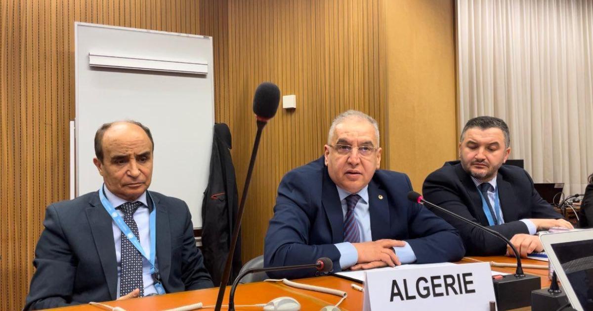 الجزائر تدعو الأمم المتحدة إلى تنظيم استفتاء تقرير المصير في الصحراء الغربية الذي وعدت به الصحراويين منذ عقود الجزائر تدعو الأمم المتحدة إلى تنظيم استفتاء تقرير المصير في الصحراء الغربية الذي وعدت به الصحراويين منذ عقود