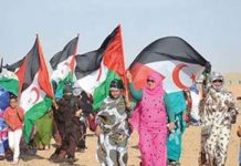 قمة “الصادك” تؤكد دعمها لحق الصحراويين في المصير قمة "الصادك" تؤكد دعمها لحق الصحراويين في المصير