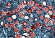 جسر علمي جديد يربط الأحياء بتقنيات الكم جسر علمي جديد يربط الأحياء بتقنيات الكم