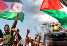 “الاحتلال المزدوج: فلسطين والصحراء الغربية” "الاحتلال المزدوج: فلسطين والصحراء الغربية"