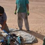 ولاية الشهيد الحافظ تطلق حملة وطنية للحفاظ على نظافة الطرقات ولاية الشهيد الحافظ تطلق حملة وطنية للحفاظ على نظافة الطرقات