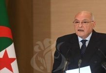 نتائج معرض التجارة الإفريقية تعكس استعادة المبادرة نتائج معرض التجارة الإفريقية تعكس استعادة المبادرة