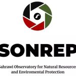 إدانة استثمارات غير شرعية بالصحراء الغربية المحتلة إدانة استثمارات غير شرعية بالصحراء الغربية المحتلة