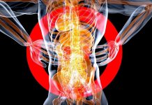 إنجاز طبي يفتح آفاق جديدة لزراعة الكلى عالميًا إنجاز طبي يفتح آفاق جديدة لزراعة الكلى عالميًا