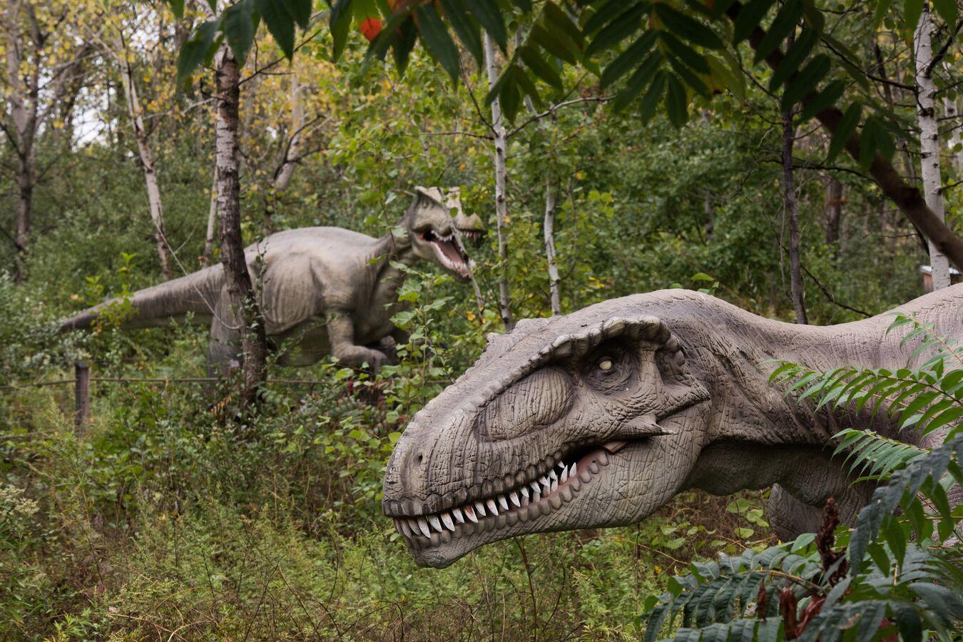 اكتشاف خاصية فريدة في ديناصور غير مسبوقة اكتشاف خاصية فريدة في ديناصور غير مسبوقة