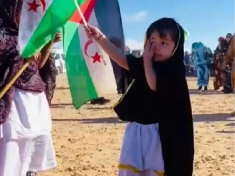 مسؤول نيجيري: الصحراء الغربية نموذج لتصفية استعمار مسؤول نيجيري: الصحراء الغربية نموذج لتصفية استعمار