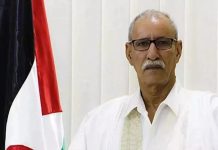 رئيس الجمهورية يهنئ الرئيسة المنتخبة لإيرلندا رئيس الجمهورية يهنئ الرئيسة المنتخبة لإيرلندا