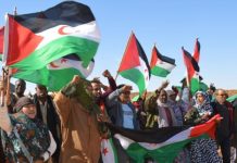 “الحكم الذاتي” للصحراء الغربية… زوبعة في فنجان ! “الحكم الذاتي” للصحراء الغربية… زوبعة في فنجان !