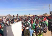 تضامن حزبي مع حق الشعب الصحراوي في تقرير المصير تضامن حزبي مع حق الشعب الصحراوي في تقرير المصير