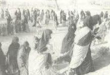 50 عامًا على الاجتياح: الشعب الصحراوي مستمر في الكفاح 50 عامًا على الاجتياح: الشعب الصحراوي مستمر في الكفاح