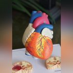 الإنفلونزا تزيد خطر النوبات القلبية 4 أضعاف بعد الشفاء الإنفلونزا تزيد خطر النوبات القلبية 4 أضعاف بعد الشفاء