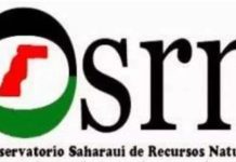 “المرصد الصحراوي ينتقد مجلس الأمن ويحذر من النهب” "المرصد الصحراوي ينتقد مجلس الأمن ويحذر من النهب"