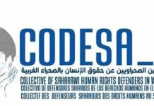 غياب آلية لمراقبة حقوق الإنسان يهدد حل النزاع بالصحراء غياب آلية لمراقبة حقوق الإنسان يهدد حل النزاع بالصحراء