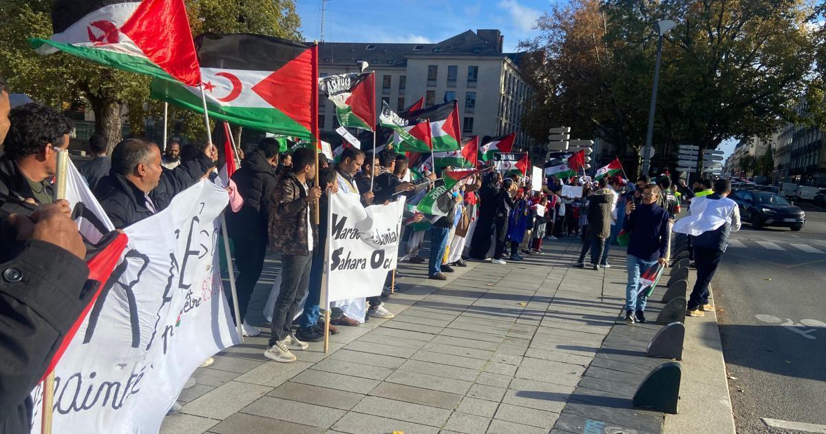 الجالية الصحراوية في فرنسا تجدد العهد للكفاح الجالية الصحراوية في فرنسا تجدد العهد للكفاح