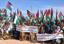 المسيرة الدولية للنساء تدعم حق الشعب الصحراوي المسيرة الدولية للنساء تدعم حق الشعب الصحراوي