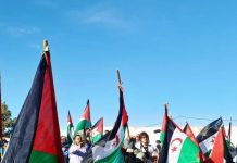 ندوة في بروكسل حول حق تقرير مصير الصحراويين ندوة في بروكسل حول حق تقرير مصير الصحراويين