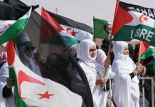 دول تمتلك حق النقض تتجاهل مبادئ الأمم المتحدة دول تمتلك حق النقض تتجاهل مبادئ الأمم المتحدة