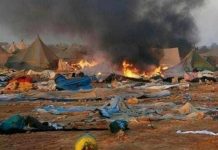 “الاحتلال المغربي يستخدم التحول الأخضر لنهب الصحراء” "الاحتلال المغربي يستخدم التحول الأخضر لنهب الصحراء"