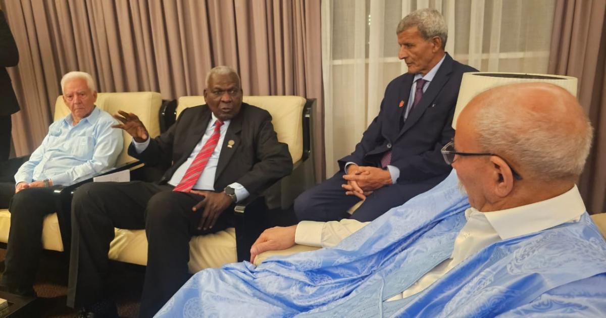 غالي يستقبل رئيس الجمعية الوطنية الكوبية غالي يستقبل رئيس الجمعية الوطنية الكوبية