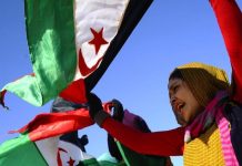 الصحراء الغربية: 50 عامًا من النضال من أجل الاستقلال الصحراء الغربية: 50 عامًا من النضال من أجل الاستقلال