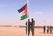 نفي رسمي حول شائعات وقف إطلاق النار نفي رسمي حول شائعات وقف إطلاق النار