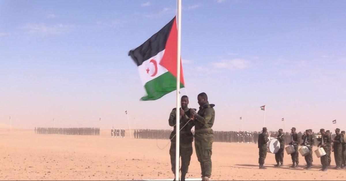 نفي رسمي حول شائعات وقف إطلاق النار نفي رسمي حول شائعات وقف إطلاق النار