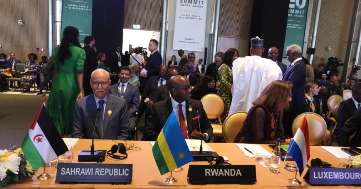 دعوة رئيس الجمهورية لتصفية الاستعمار بالصحراء الغربية دعوة رئيس الجمهورية لتصفية الاستعمار بالصحراء الغربية