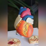 دراسة: سيجارتان يوميًا تزيدان خطر فشل القلب 50% دراسة: سيجارتان يوميًا تزيدان خطر فشل القلب 50%