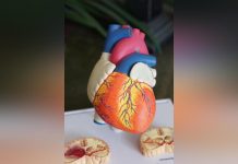 دراسة: سيجارتان يوميًا تزيدان خطر فشل القلب 50% دراسة: سيجارتان يوميًا تزيدان خطر فشل القلب 50%