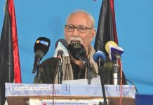 غالي يشيد بدور الشباب في حرب التحرير غالي يشيد بدور الشباب في حرب التحرير