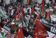 فيدرالية المؤسسات تؤكد حق الصحراويين في الحرية فيدرالية المؤسسات تؤكد حق الصحراويين في الحرية