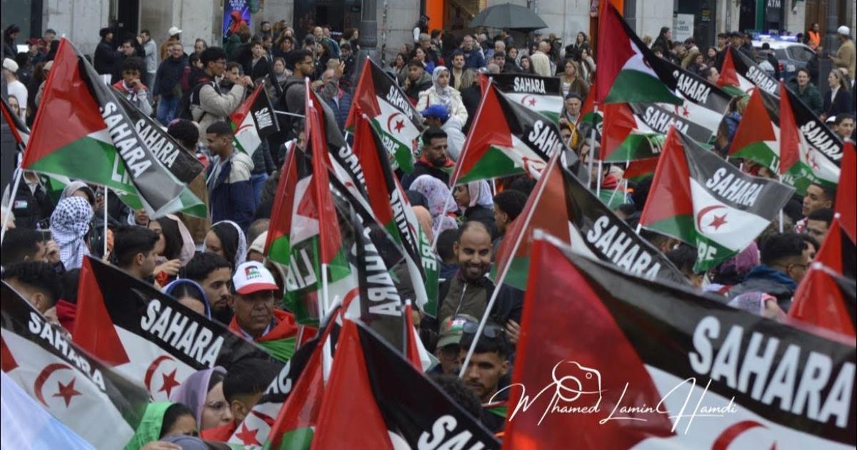 فيدرالية المؤسسات تؤكد حق الصحراويين في الحرية فيدرالية المؤسسات تؤكد حق الصحراويين في الحرية