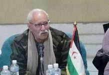 غالي يلتقي وفود متضامنة مع الشعب الصحراوي غالي يلتقي وفود متضامنة مع الشعب الصحراوي