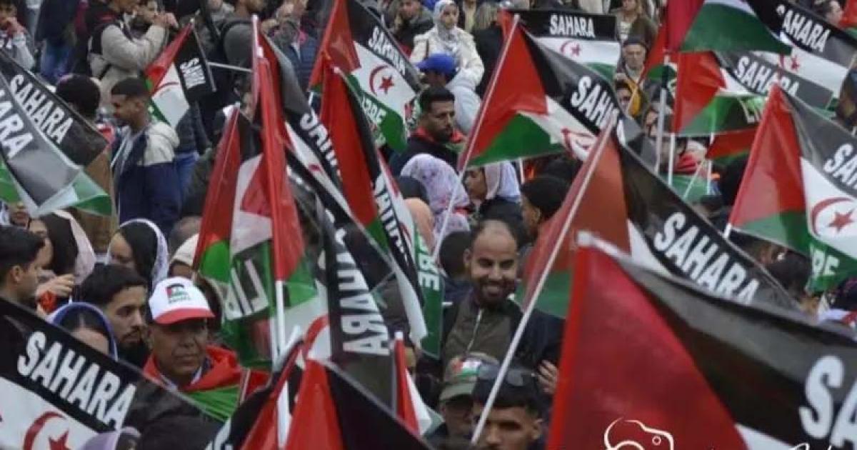 بروكسيل تستعد لمظاهرة ضد اتفاق مع المغرب للصحراء بروكسيل تستعد لمظاهرة ضد اتفاق مع المغرب للصحراء