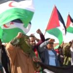 نقابات فرنسية تؤكد دعمها لكفاح الشعب الصحراوي نقابات فرنسية تؤكد دعمها لكفاح الشعب الصحراوي