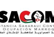 دعوة لحماية حقوق الصحراويين في ذكرى حقوق الإنسان دعوة لحماية حقوق الصحراويين في ذكرى حقوق الإنسان