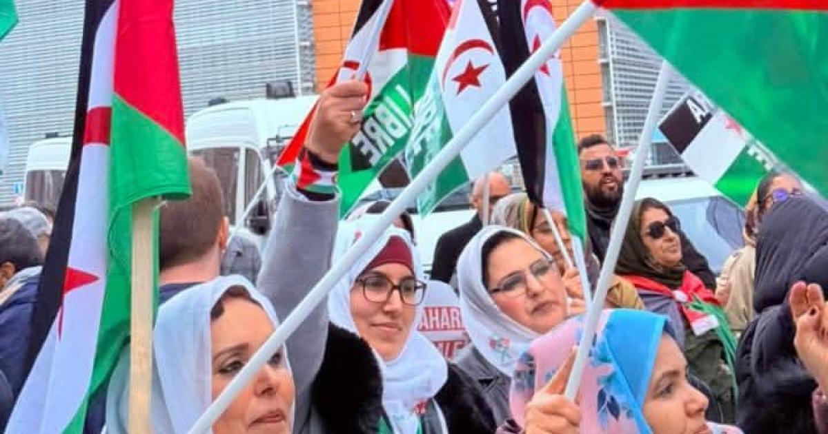 دعوة عاجلة لدعم حق تقرير المصير للشعب الصحراوي دعوة عاجلة لدعم حق تقرير المصير للشعب الصحراوي